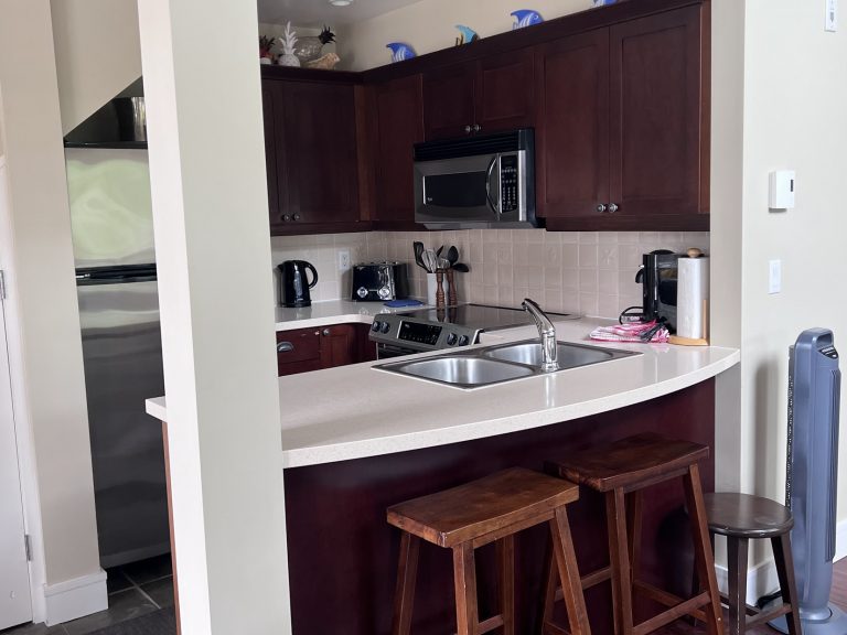 Modern kitchen at Cottage 12 with dark wood cabinets, bar seating, and full appliances